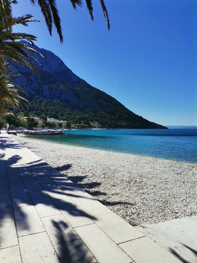 Studio apartman Zana Apartment Gradac  Bagian luar foto