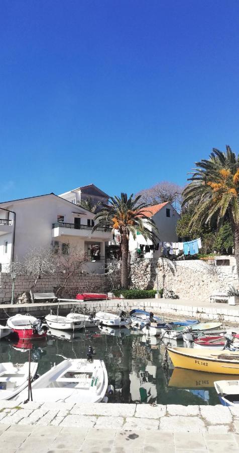 Studio apartman Zana Apartment Gradac  Bagian luar foto